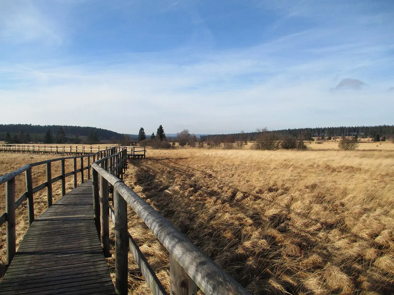 Houten vlonderpad door het open landschap van de Hoge Venen